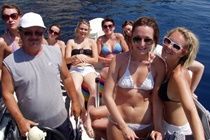 Paradise 5* Laganas